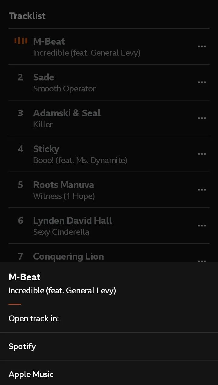 Song details.jpg