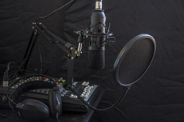 microphone-616788_640.jpg