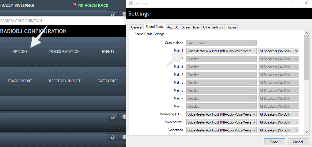 RadioDJ-Voicemeeter-options.png